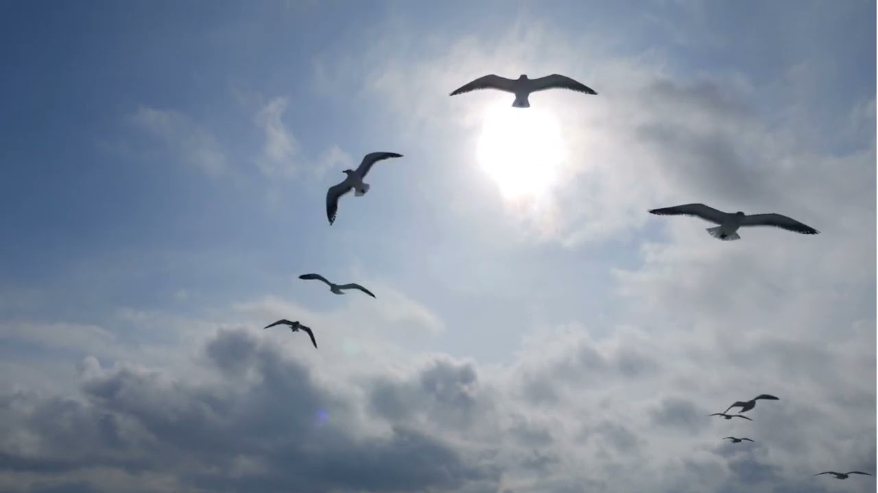Matthews Mindful Moment - The Sky Within
