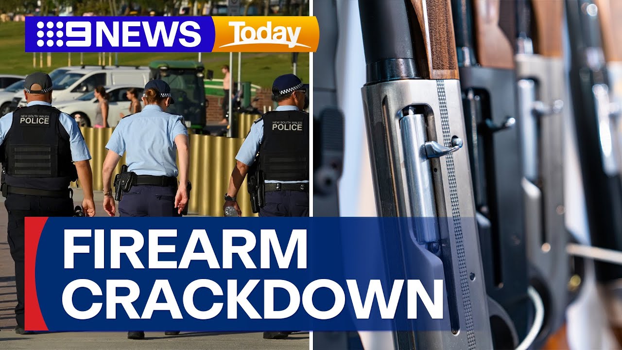 Multiple weapons seized in NSW Police firearm crackdown | 9 News Australia