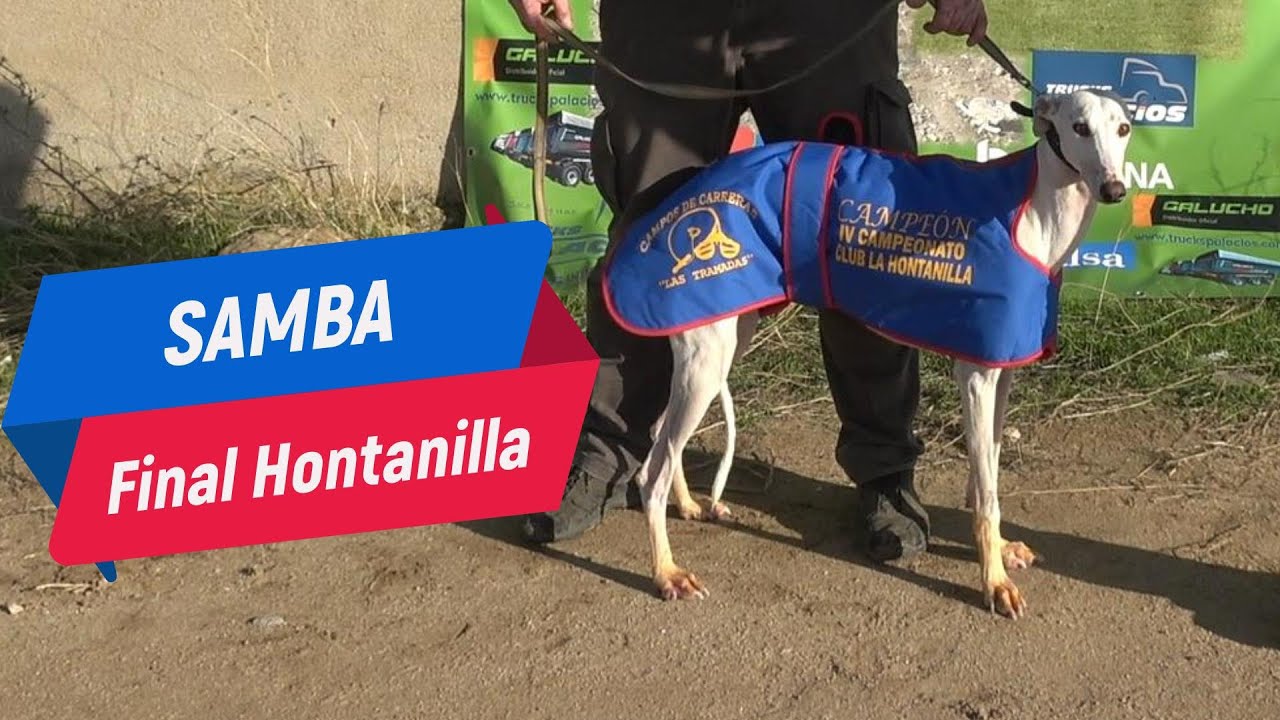 Semifinales y final Club Hontanilla 2024