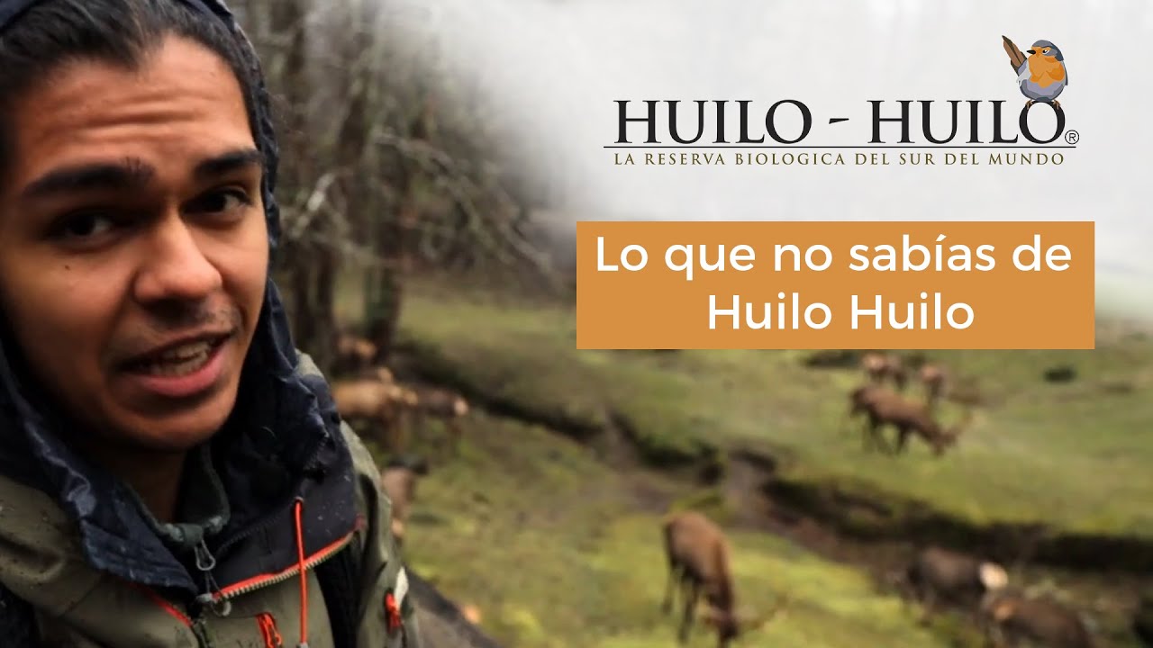 Lo que no sabías de Huilo Huilo