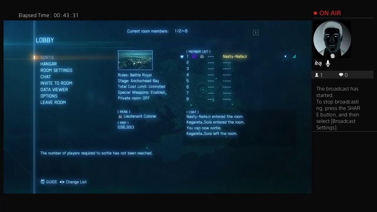 Ace combat 7 Den its a dogfight bro ahhhhyeaaaaa