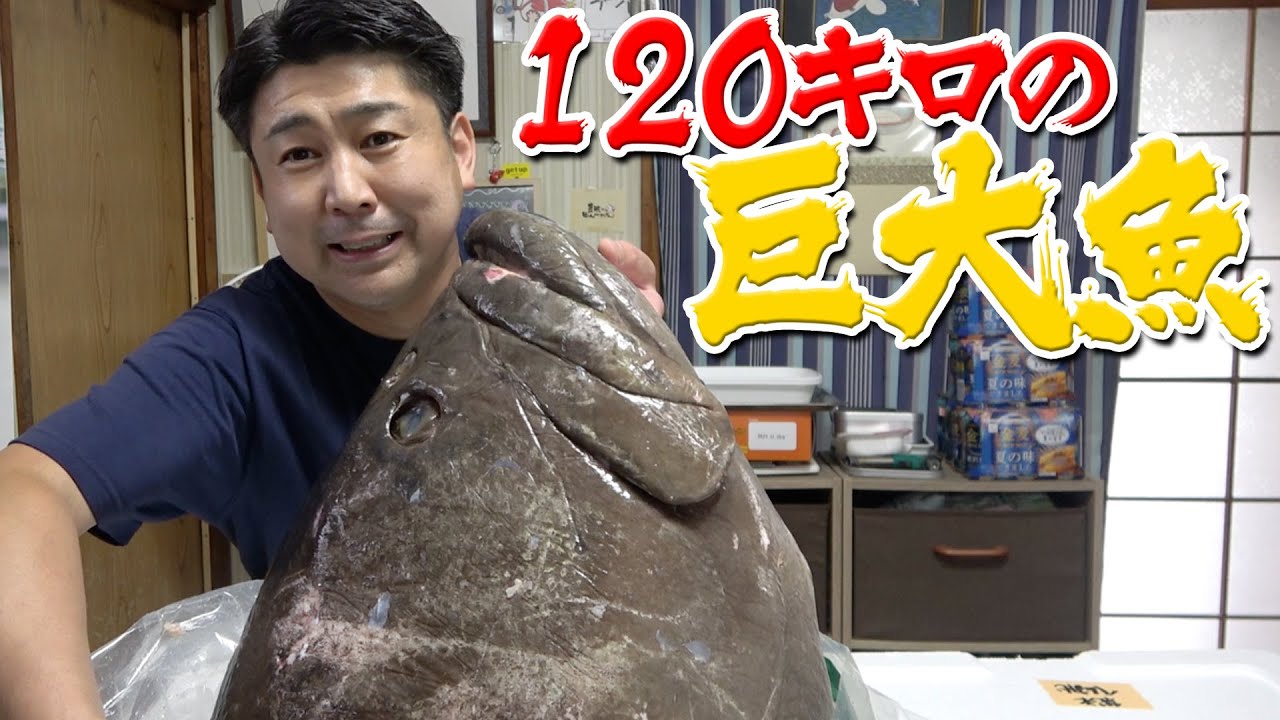 【１２０キロ！】じょ兄さんが送ってくれた巨大魚のお魚の頭を捌いて、食べてみたよ！お味はいかに！？