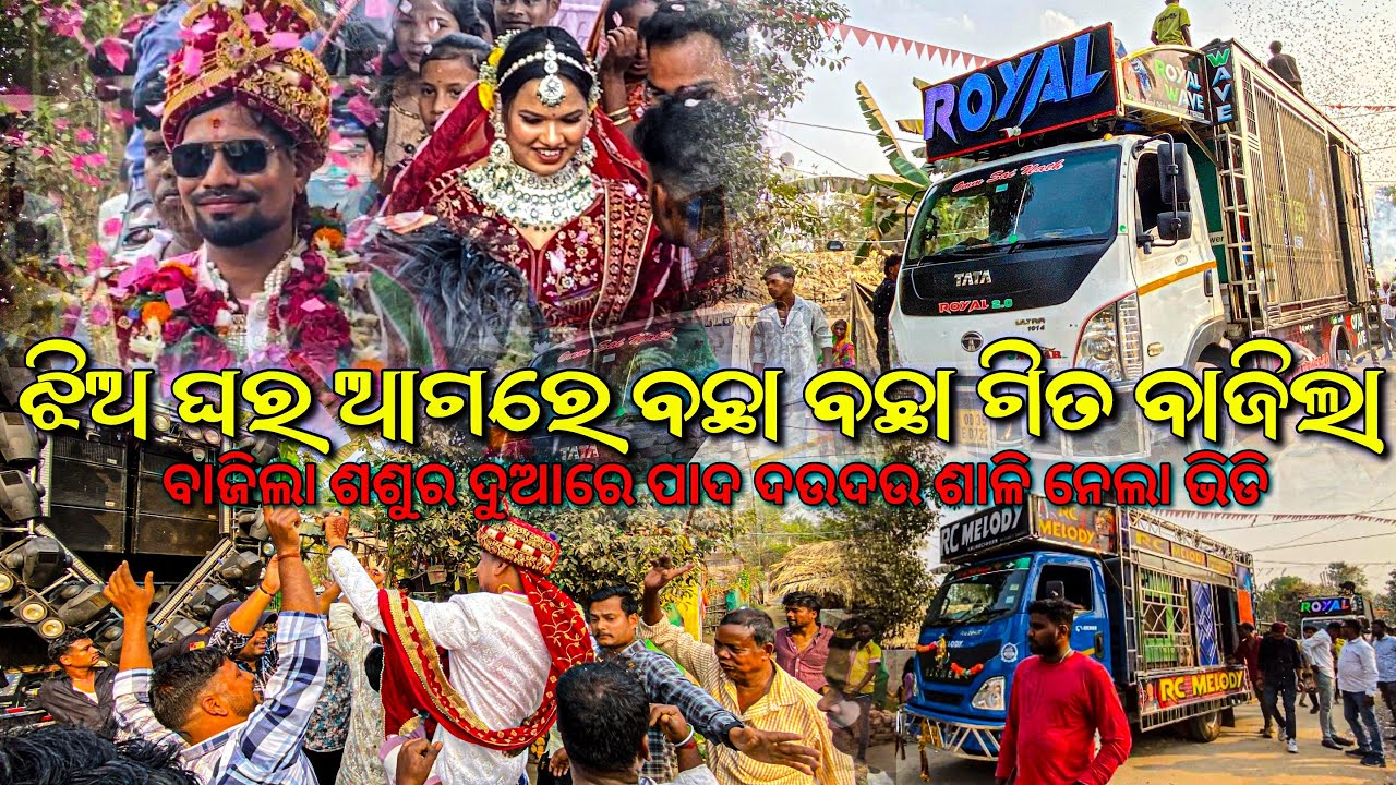 Dj Royal Wave ବାଜିଲା ଶଶୁର ଦୁଆରେ ପାଦ ଦଉଦଉ ଶାଳି ନେଲା ଭିଡି | At- Kangula Village 