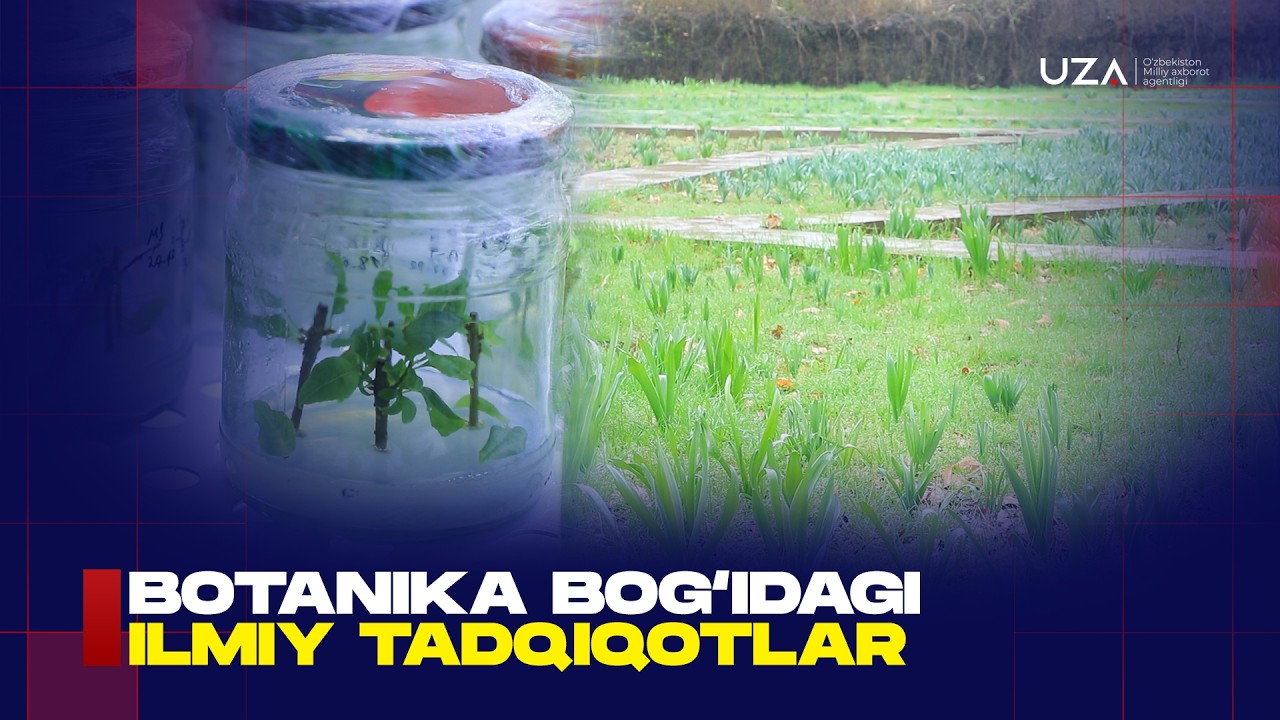 Botanika bog‘idagi ilmiy tadqiqotlar