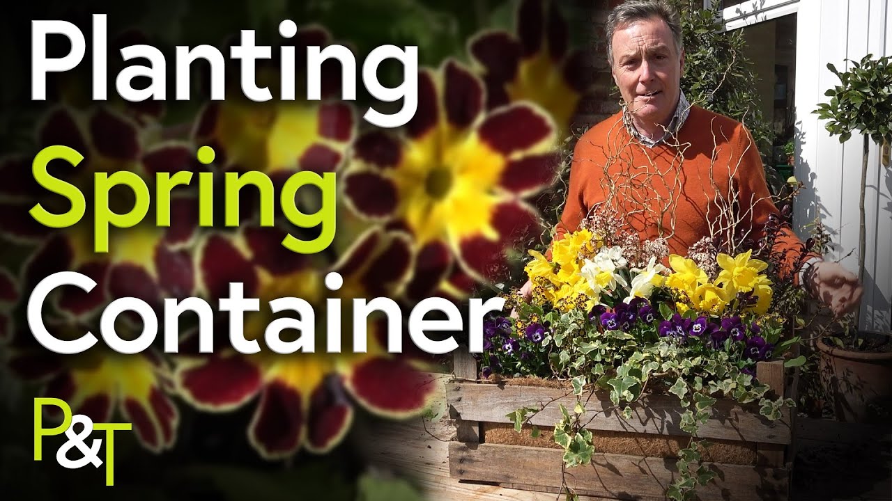 Plant the Perfect Spring Container - Pots & Trowels