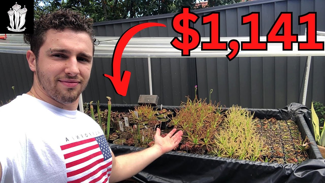 Would You Spend $1,141 on This? - Flood Table