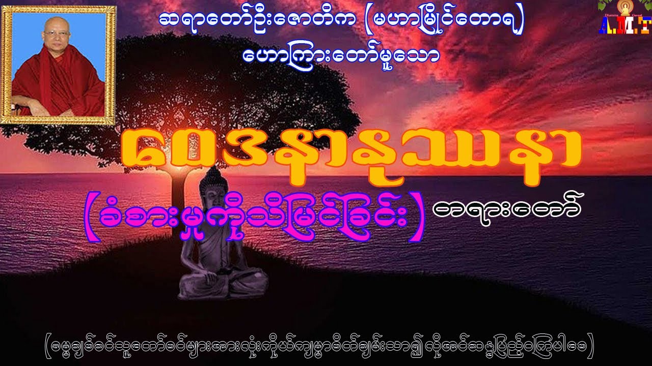 ဝေဒနာနုပဿနာ ခံစားမှုကို သိမြင်ခြင်း ဆရာတော်ဦးဇောတိက (မဟာမြိုင်တောရ)