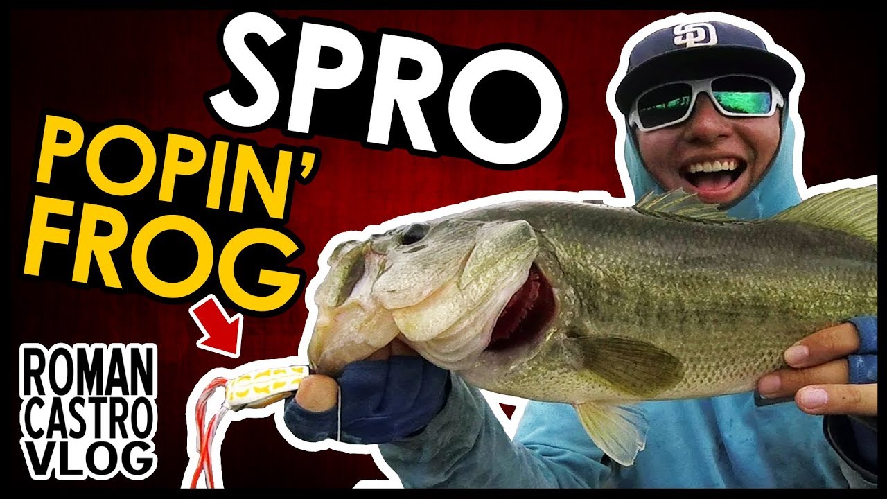 Spro Baby Popper Frog Fishing