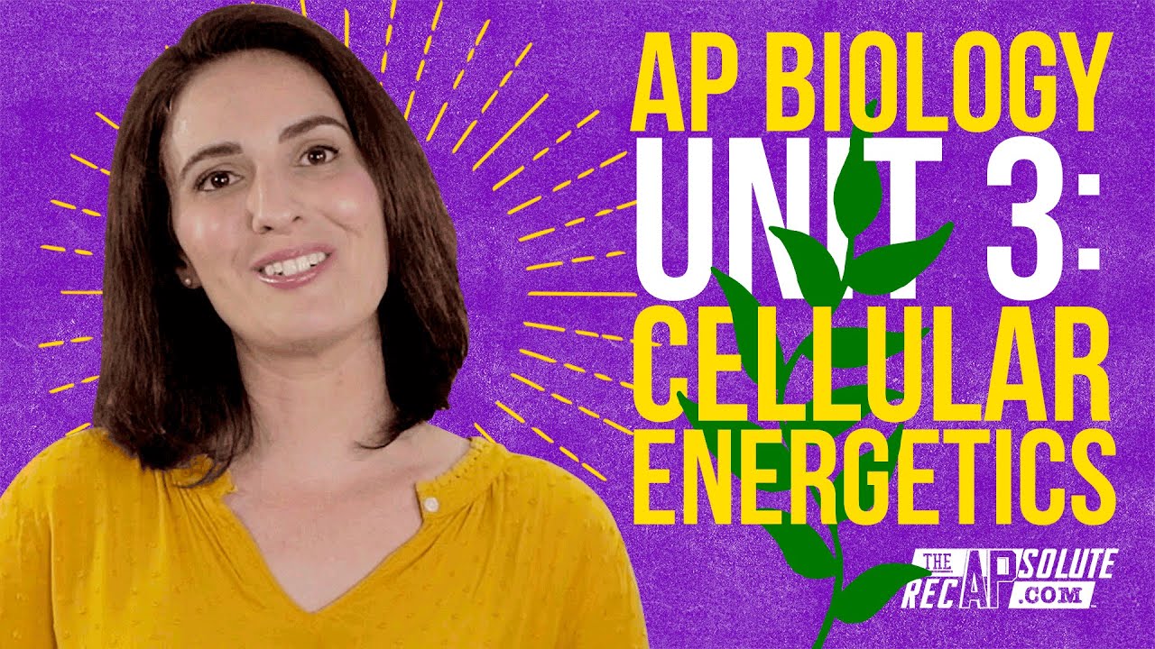 AP Biology Unit 3: Краткое содержание клеточной энергетики