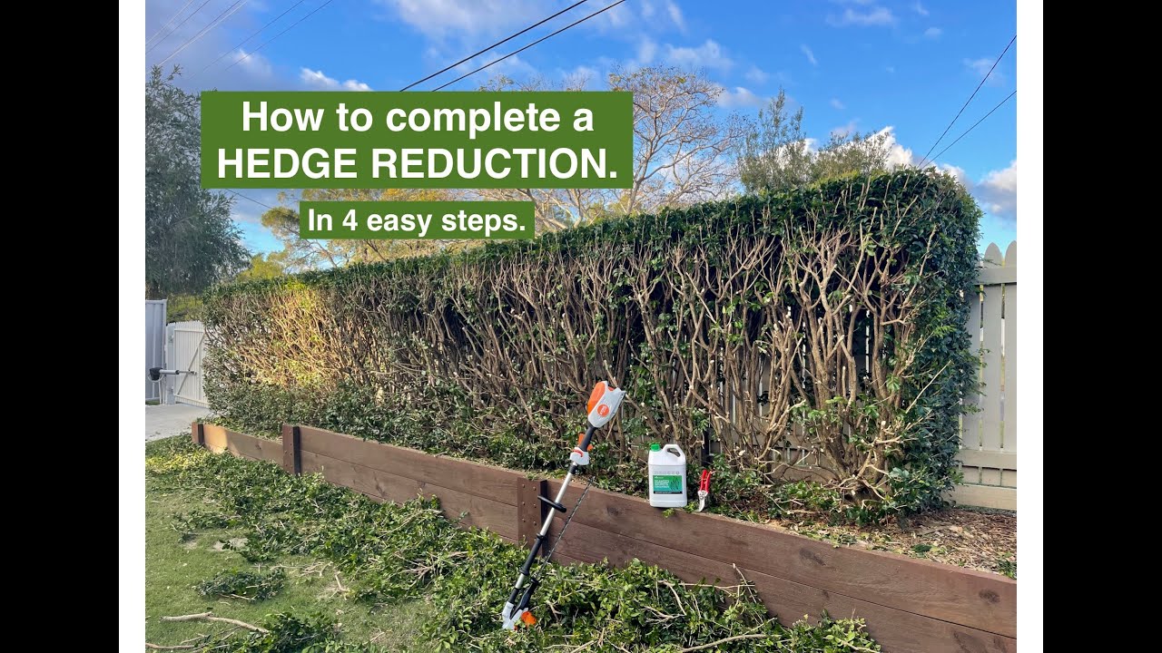 How to complete a HEDGE REDUCTION like a PRO. 4 easy steps.