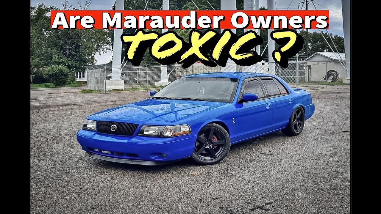The Most TOXIC Members of the Panther Community??