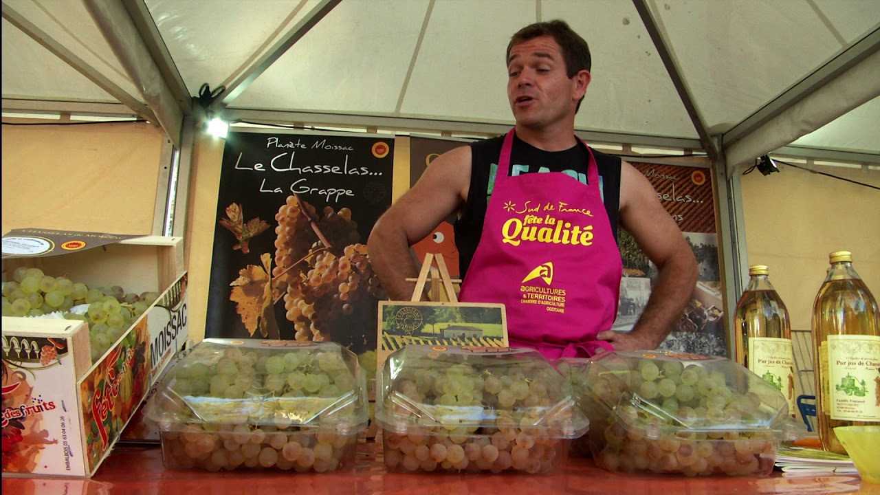 Le Chasselas de Moissac AOP
