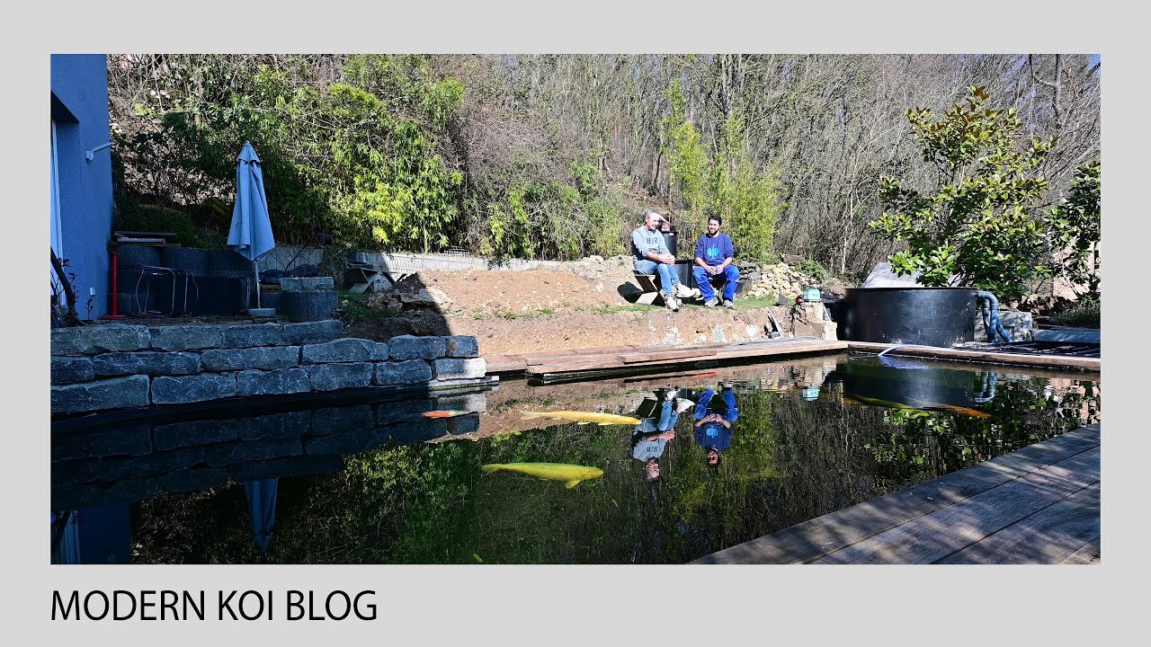 Modern Koi Blog #5169 - Sascha von Genesis präsentiert seinen frisch umgebauten Teich