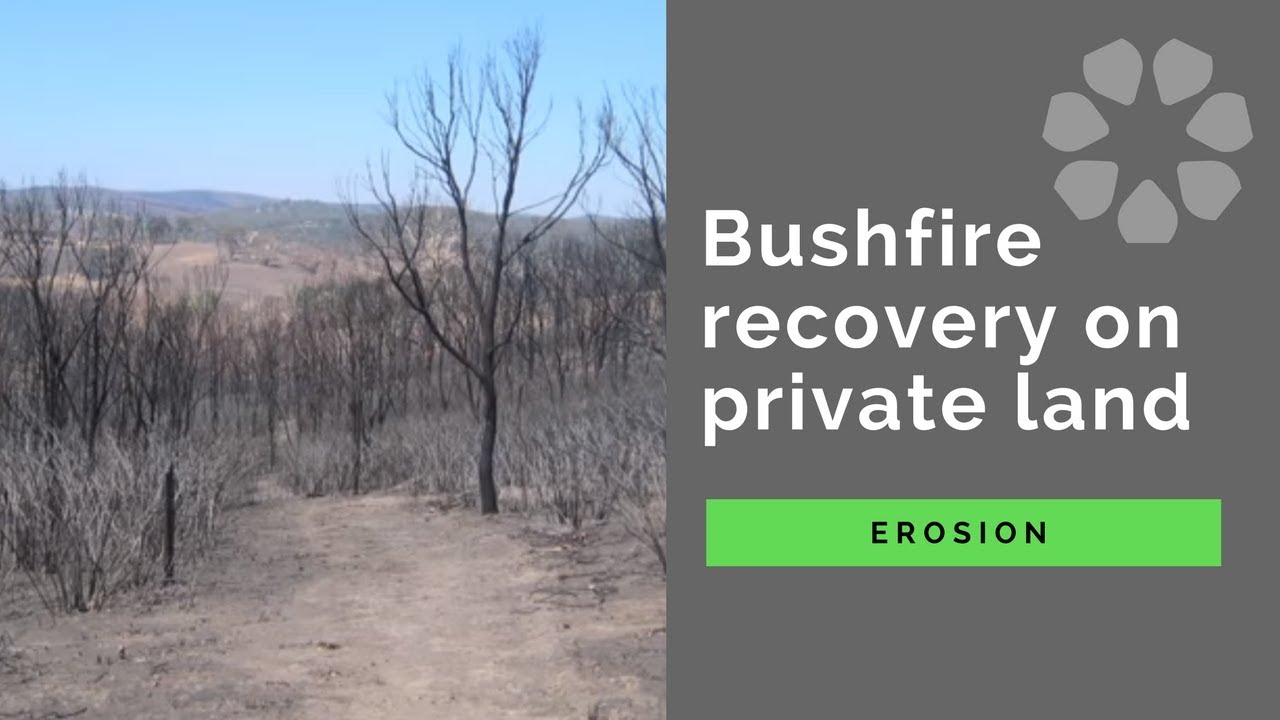 Bushfire recovery on private land: erosion | Port Phillip & Westernport CMA