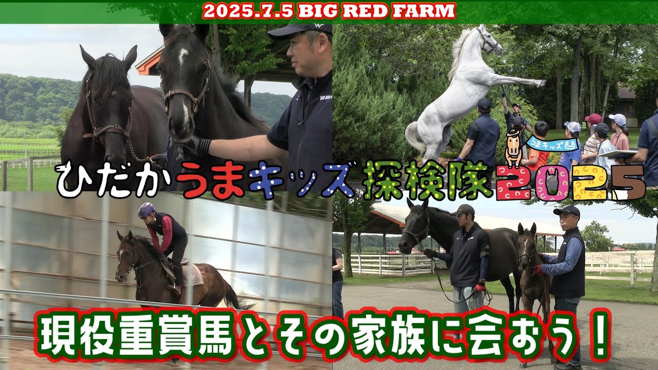 ひだかうまキッズ探検隊2025第2回目～ビッグレッドファーム編～2025/07/05