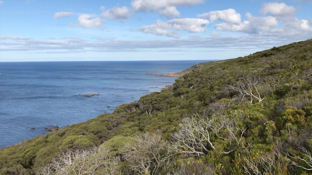 CAPE NATURALISTE TO CAPE LEEUWIN, MARGARET RIVER - WA🇦🇺