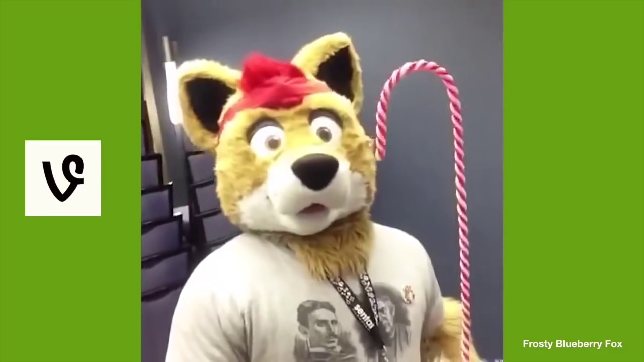vines for when your sad and forget who you are