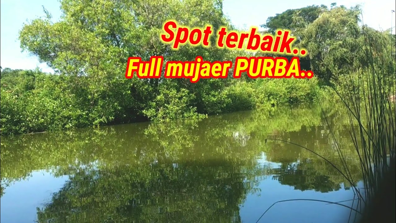 SPOT TERBAIK MANCING IKAN MUJAER PURBA//SPOT MANCING SURABAYA