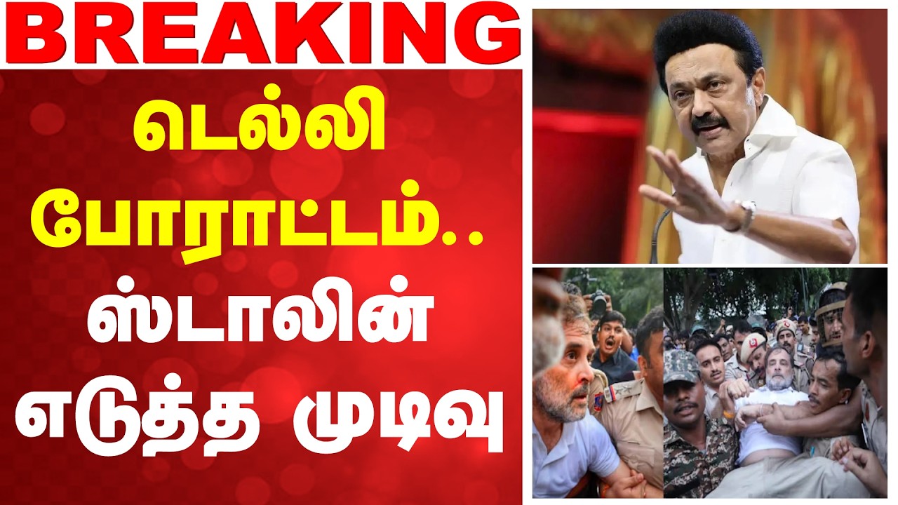 டெல்லி போராட்டம்.. ஸ்டாலின் எடுத்த முடிவு | MK Stalin | DMK | Delhi Protest | Stalin