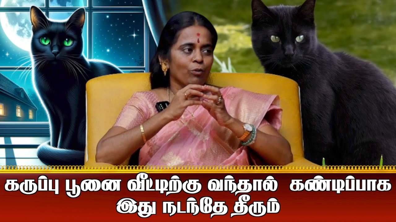 கருப்பு பூனை வீட்டிற்கு வந்தால் வீட்டில் கண்டிப்பாக இது நடந்தே தீரும் I Aanmiga Ula