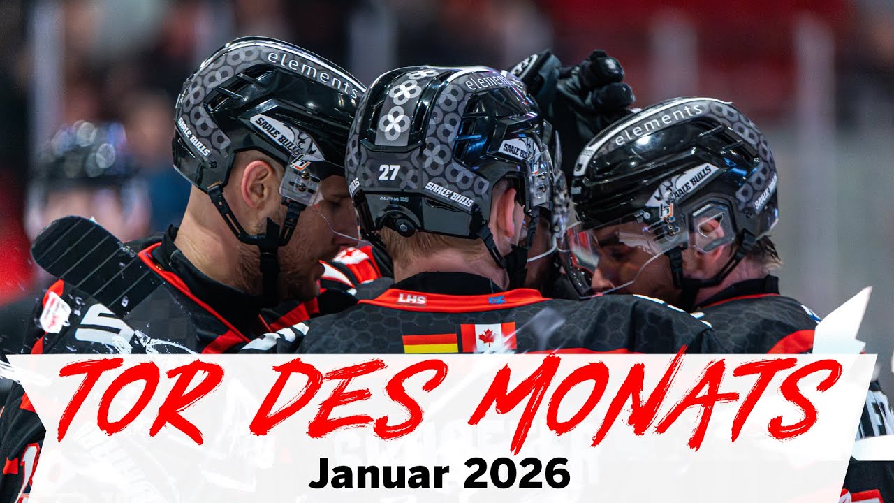 Abstimmung Tor des Monats Januar