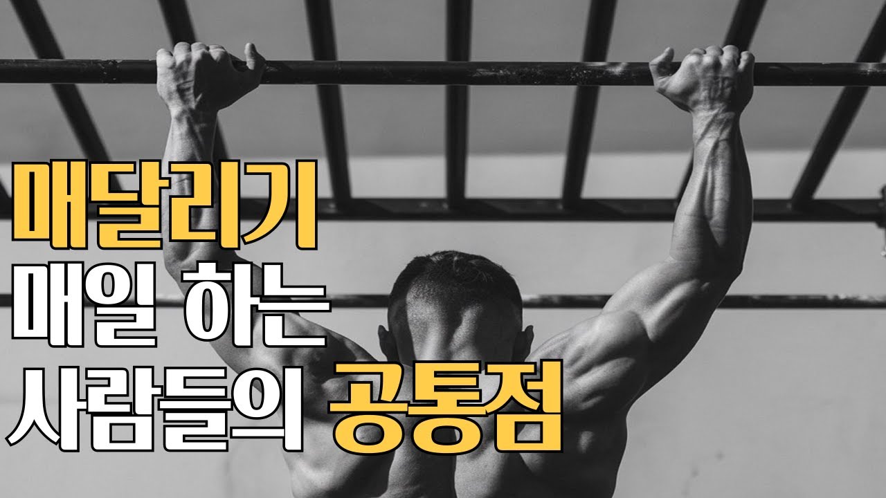 매달리기 매일 하는 사람들의 한결같은 공통점ㅣ현직 트레이닝 경험
