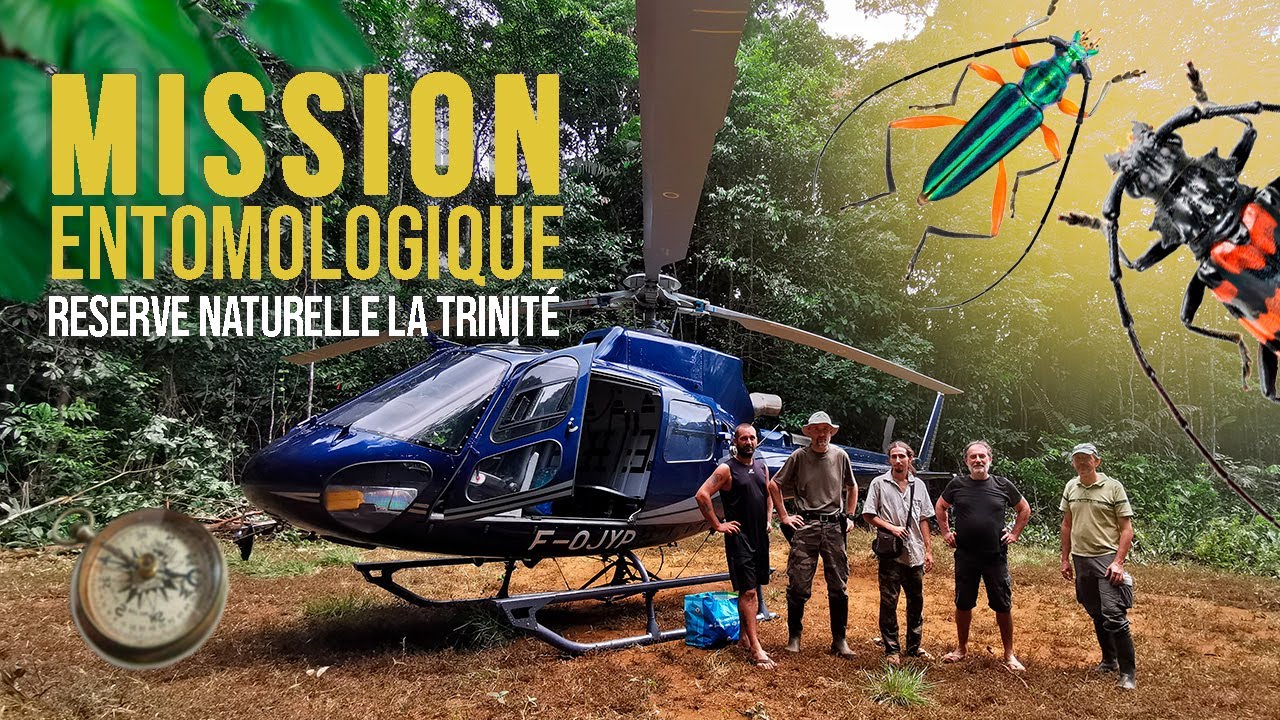 Mission entomologique au Mont Tabulaire - Réserve naturelle nationale de La Trinité - Guyane