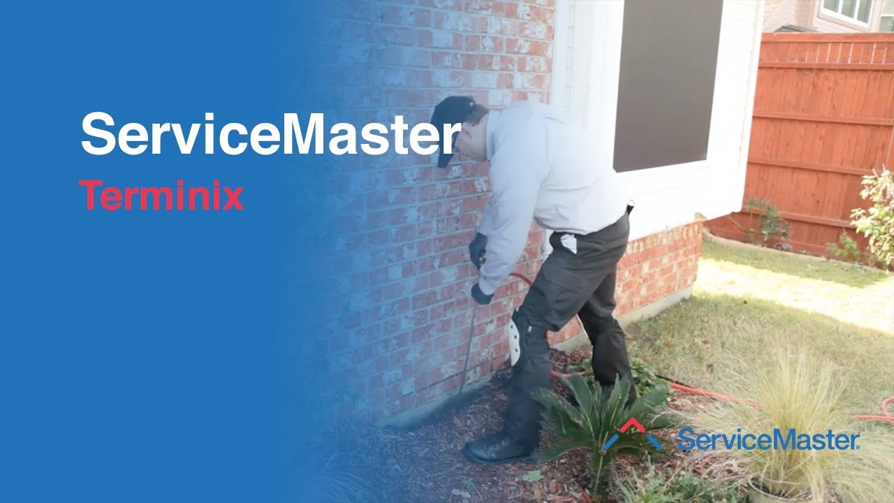 Terminix - Termite Services - ServiceMaster