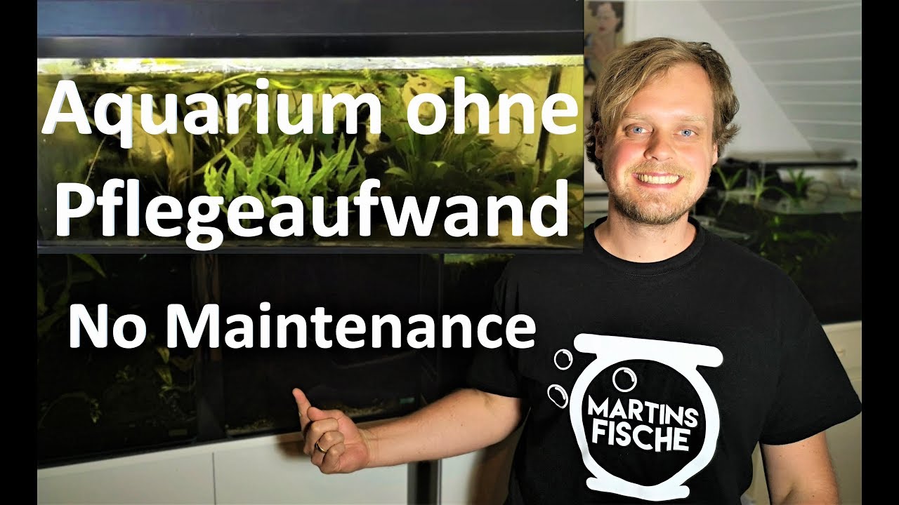 Aquarium ohne Pflegeaufwand - No Maintenance