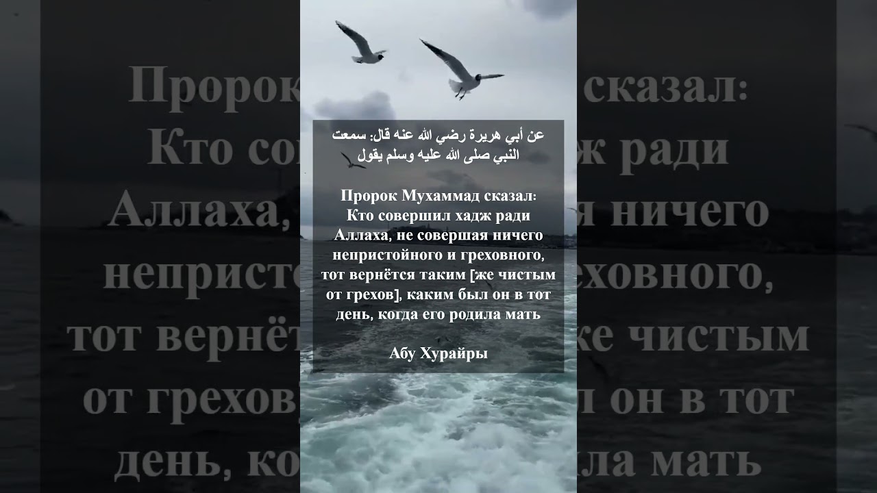 Свет Сунны #Аллах #Muslim #Ислам #Мусульмане #Вера #Намаз #Хадис #Мечеть #Сунна