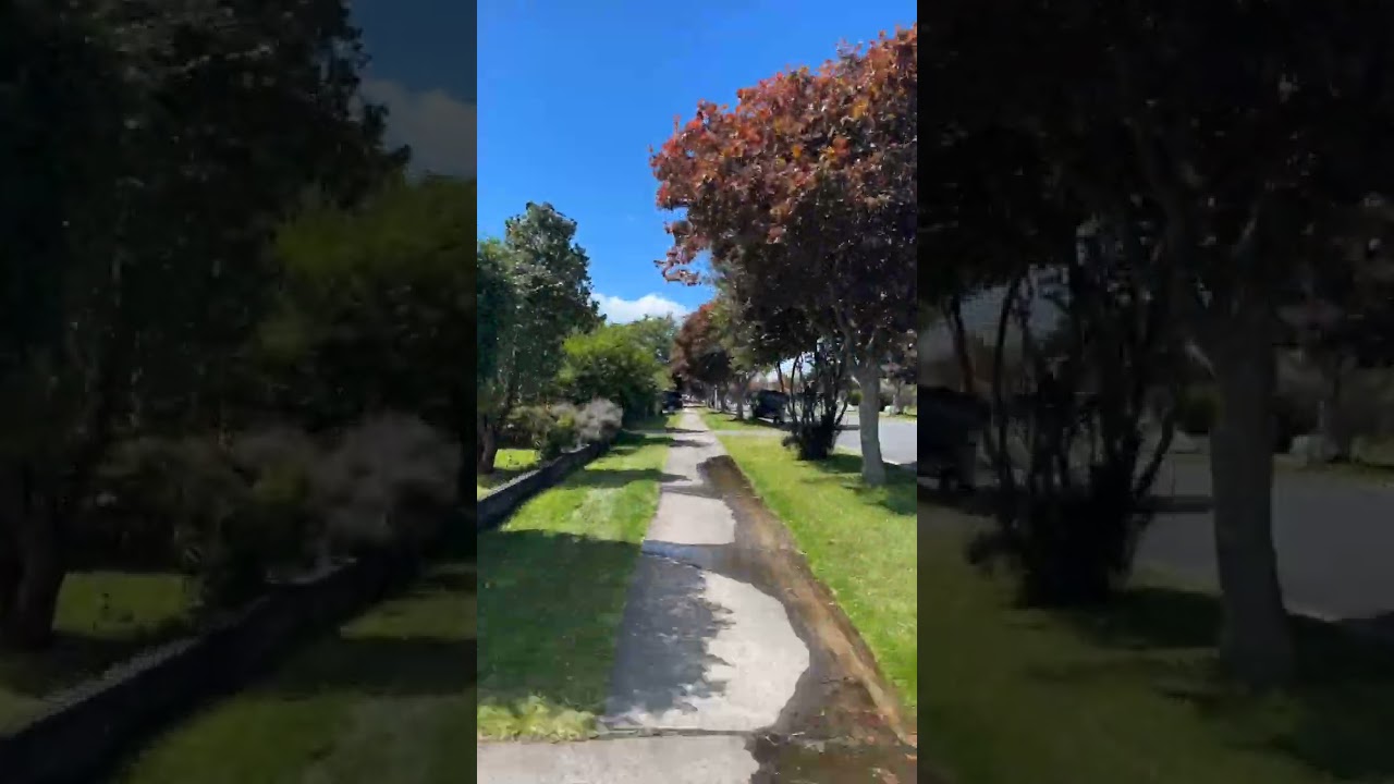 Walking in Rotorua town #shorts #newzealnd #rotorua