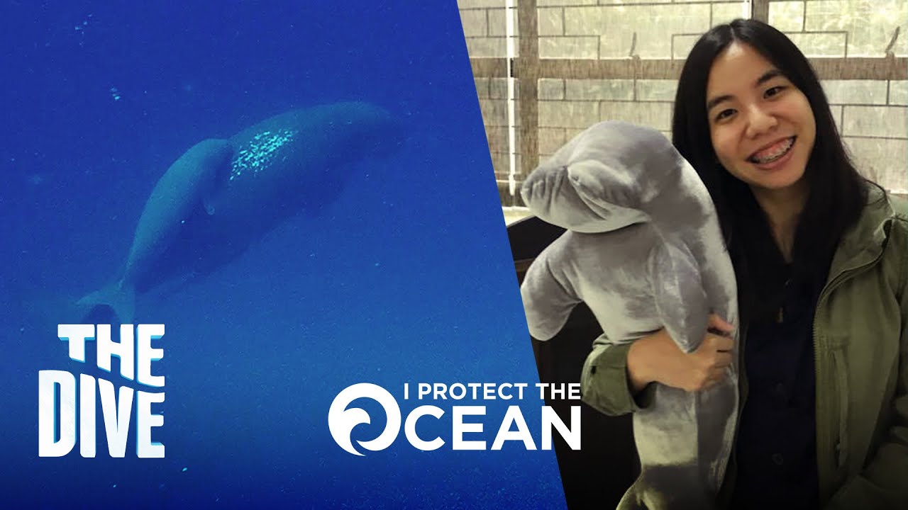 The Story of Marine Conservationist, Erina and the Dugong #TheDivePH