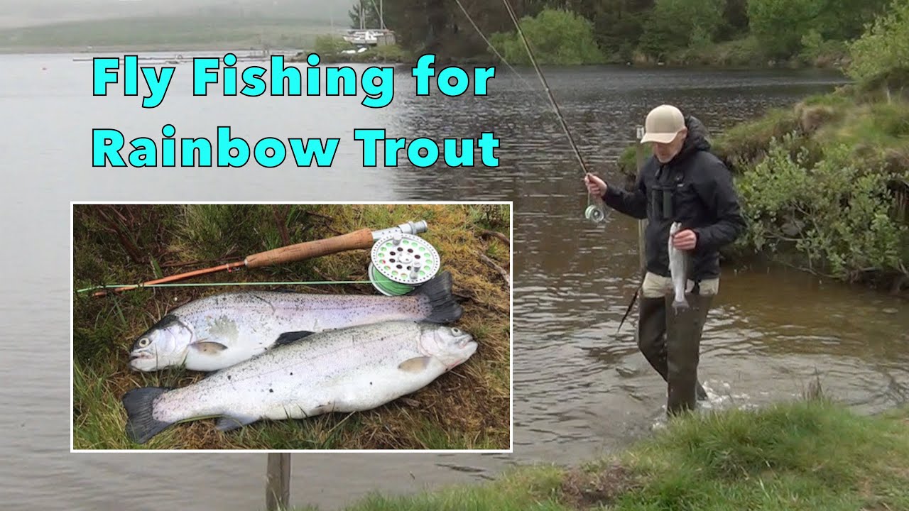 UK Stillwater Rainbow Trout Fly Fishing in LLyn Brenig, North Wales