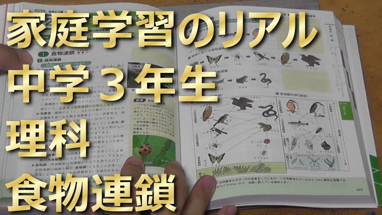 家庭学習のリアル 中学3年生 理科 食物連鎖