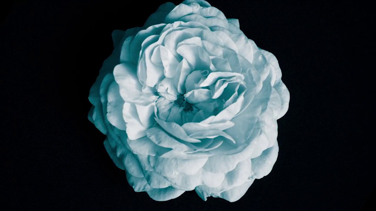 Something Wonderful -  Theodosii Spassov & Ivo Kova