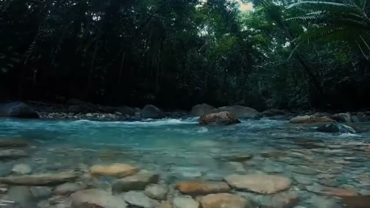 Soothing Forest River Sounds 🌿 Flowing Water Ambience for Rest, Relaxation & Sleep