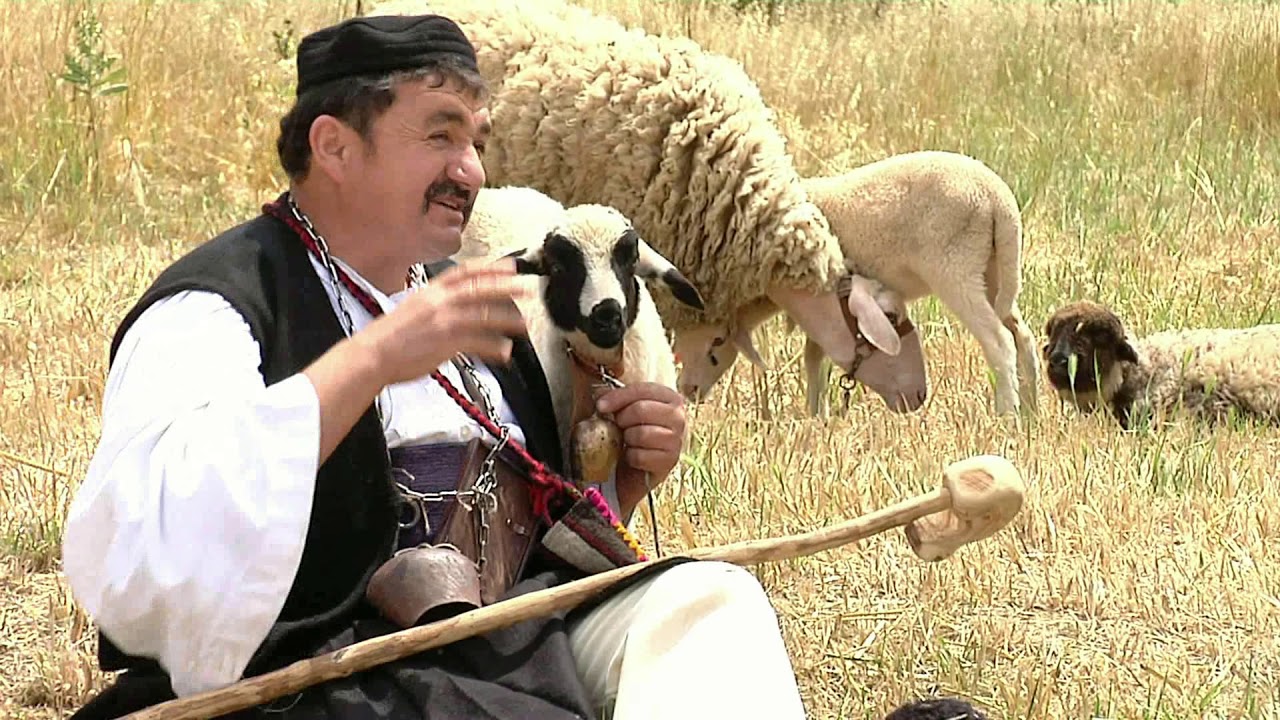 Η ΓΚΟΛΦΩ του 1ου ΕΠΑΛ και 1ου Ε.Κ. Άργους