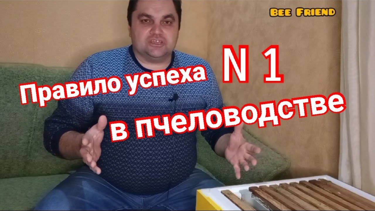 Это правило N 1 приведет к успеху. Главный секрет успеха в пчеловодстве.