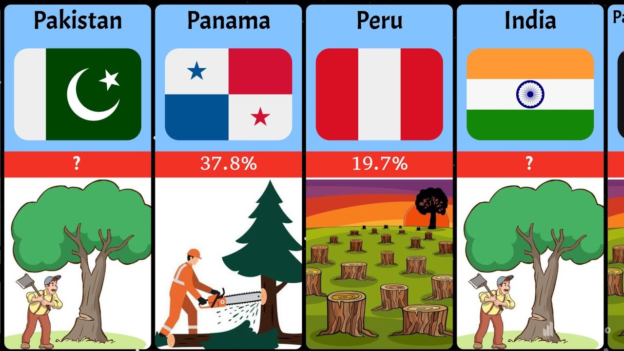 Deforestation By Country