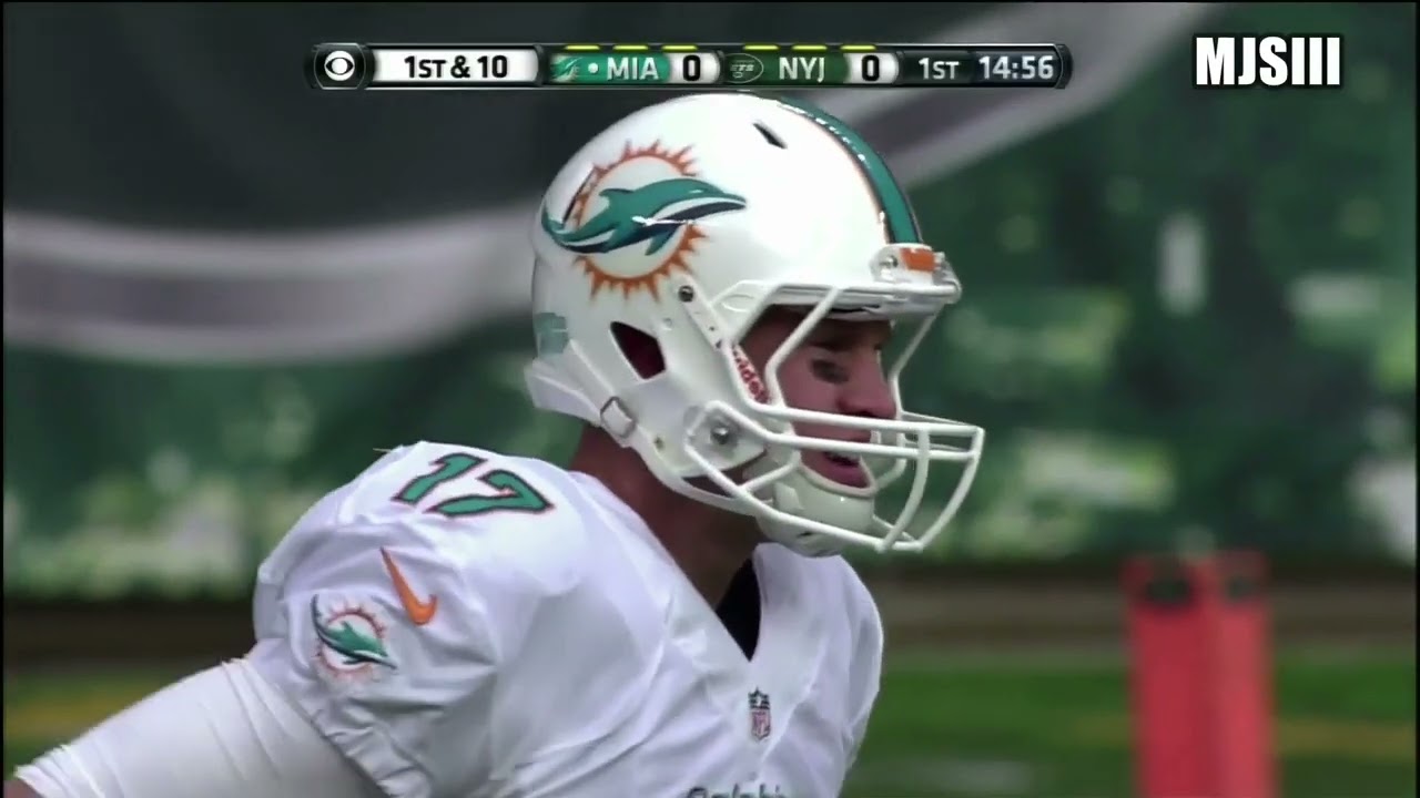 2013 week 13 Miami Dolphins at New York Jets