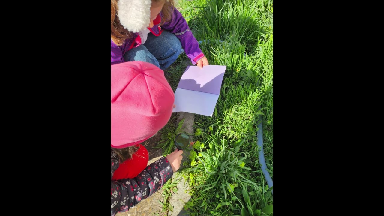 I am Going Nature Observation Activity