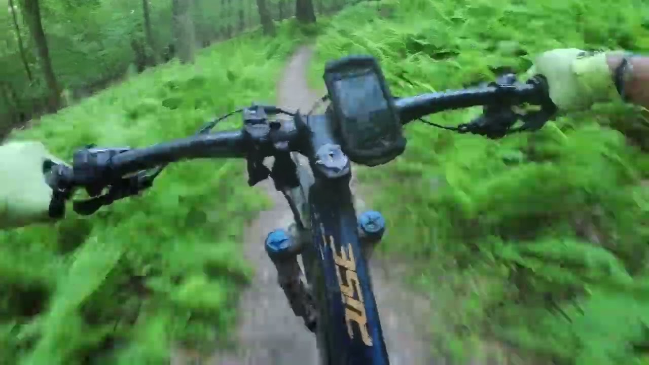 Gambrill State Park - Three Saws trail is epic