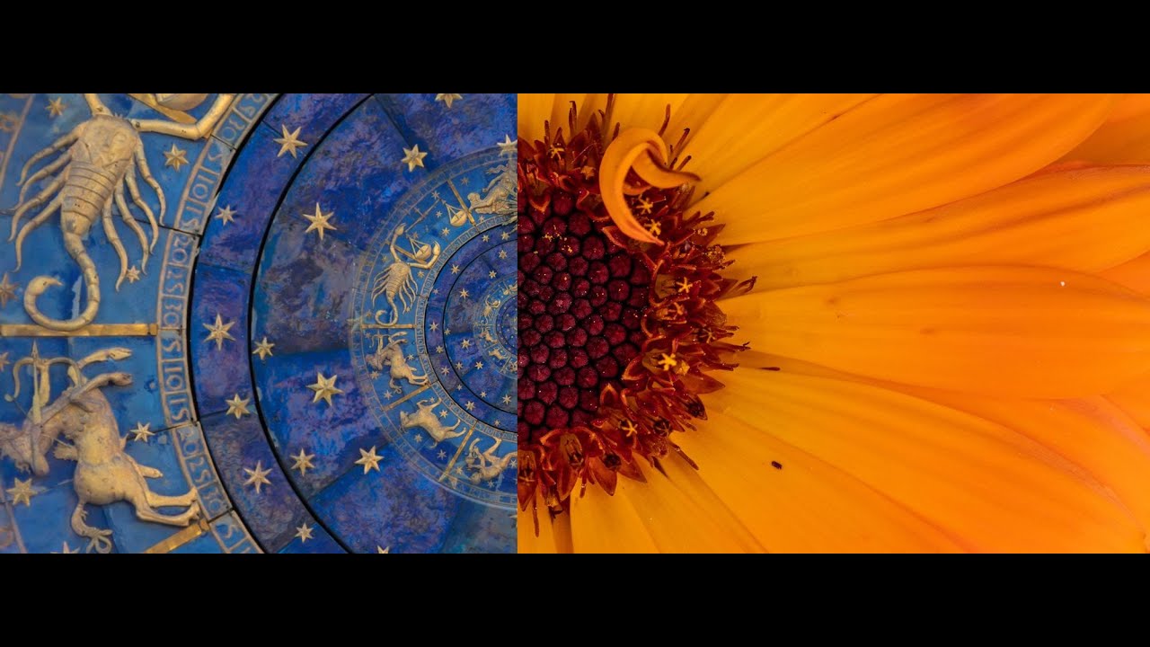 Plantas y Planetas