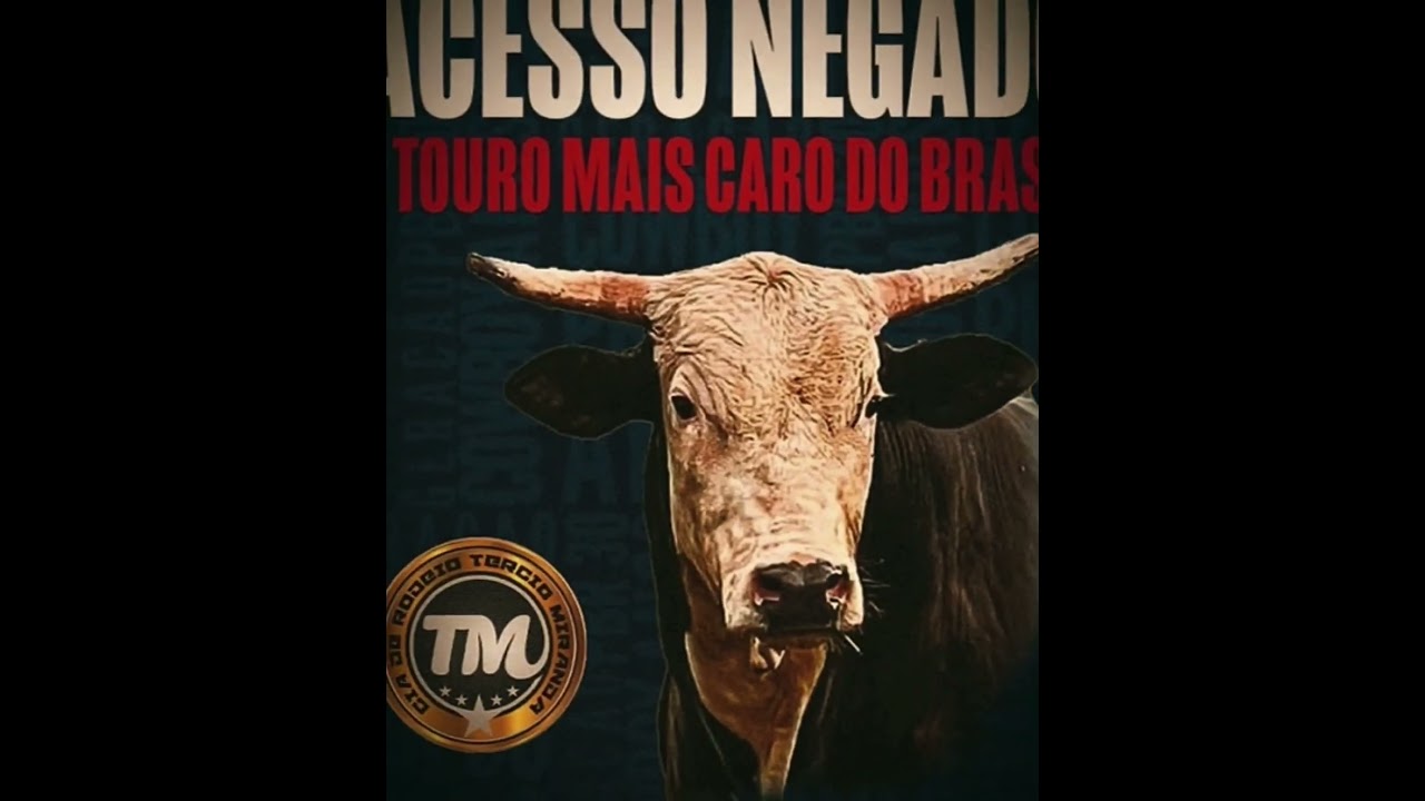 Touro bandido e acesso negado🔥
