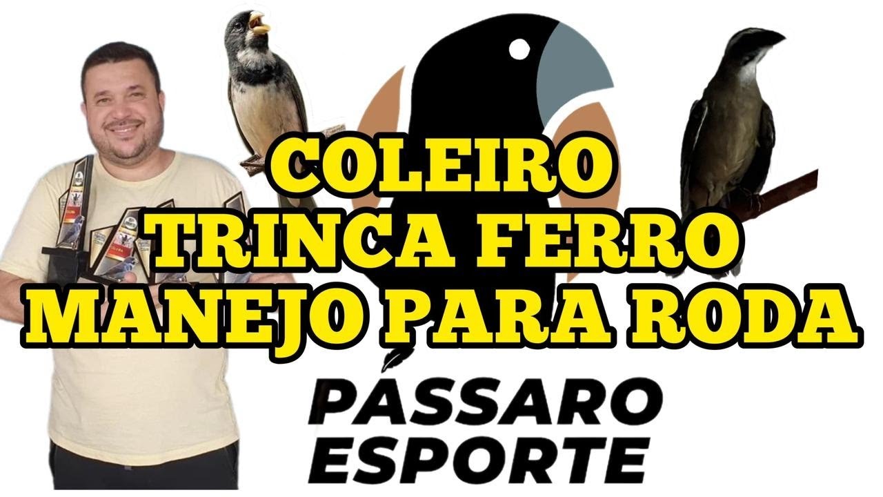 COLEIRO E TRINCA FERRO DE TORNEIO? GEAN ABRIU A CAIXA DE FERRAMENTAS. MANEJO DE QUEM SABE