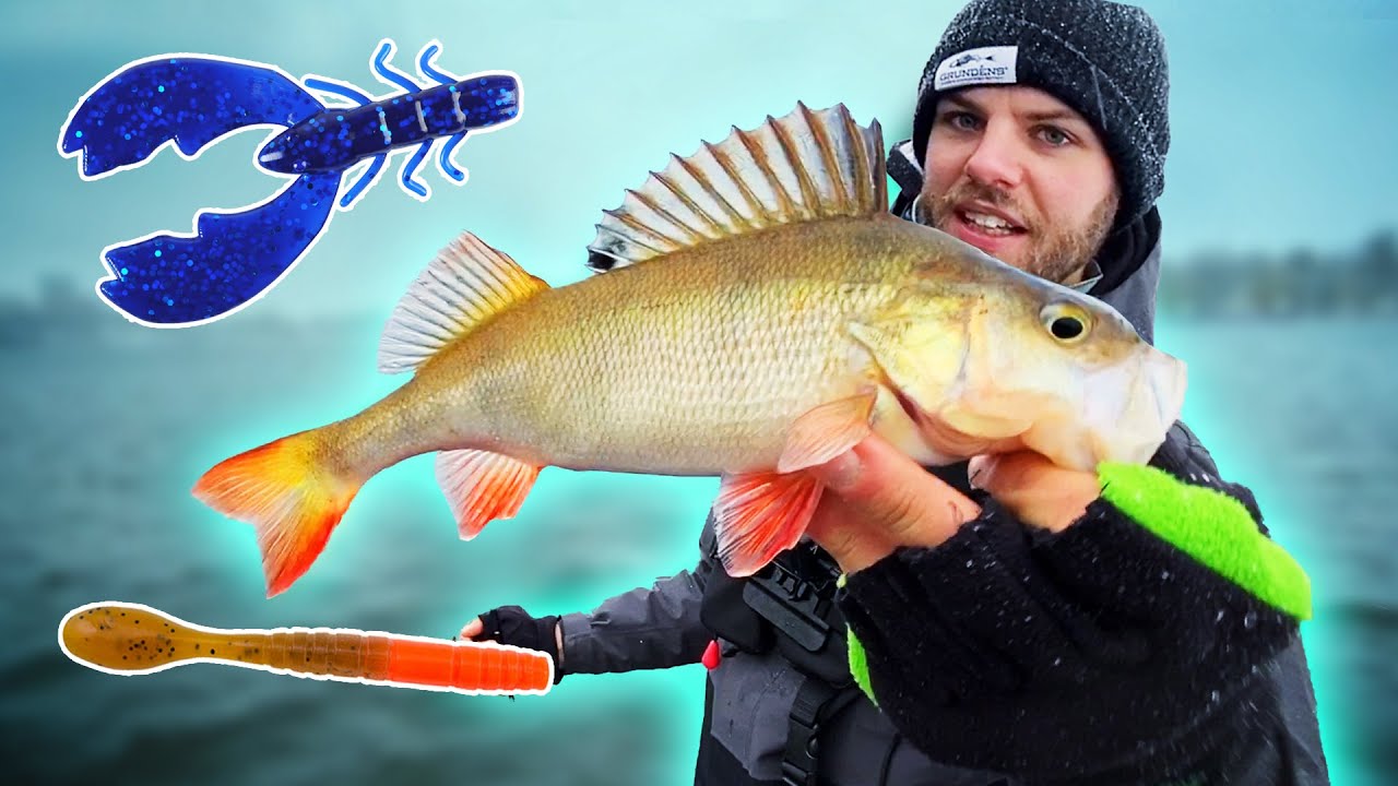Ловля окуня: Имитация рачка против дропшота 🎣 (НЕОЖИДАННЫЙ РЕЗУЛЬТАТ!)