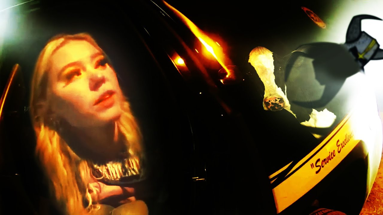 Her Lies Came Crashing Down with her Vehicle Crash, Cops Ain't Fooled