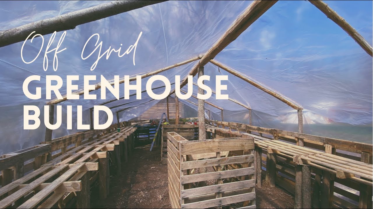 Pallet Wood Greenhouse Built In 15 Hours For Only $100! DIY On Off Grid Land