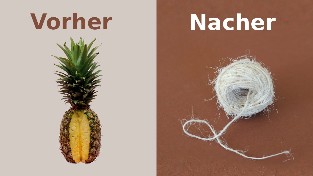 Wie man aus Ananas Wolle macht