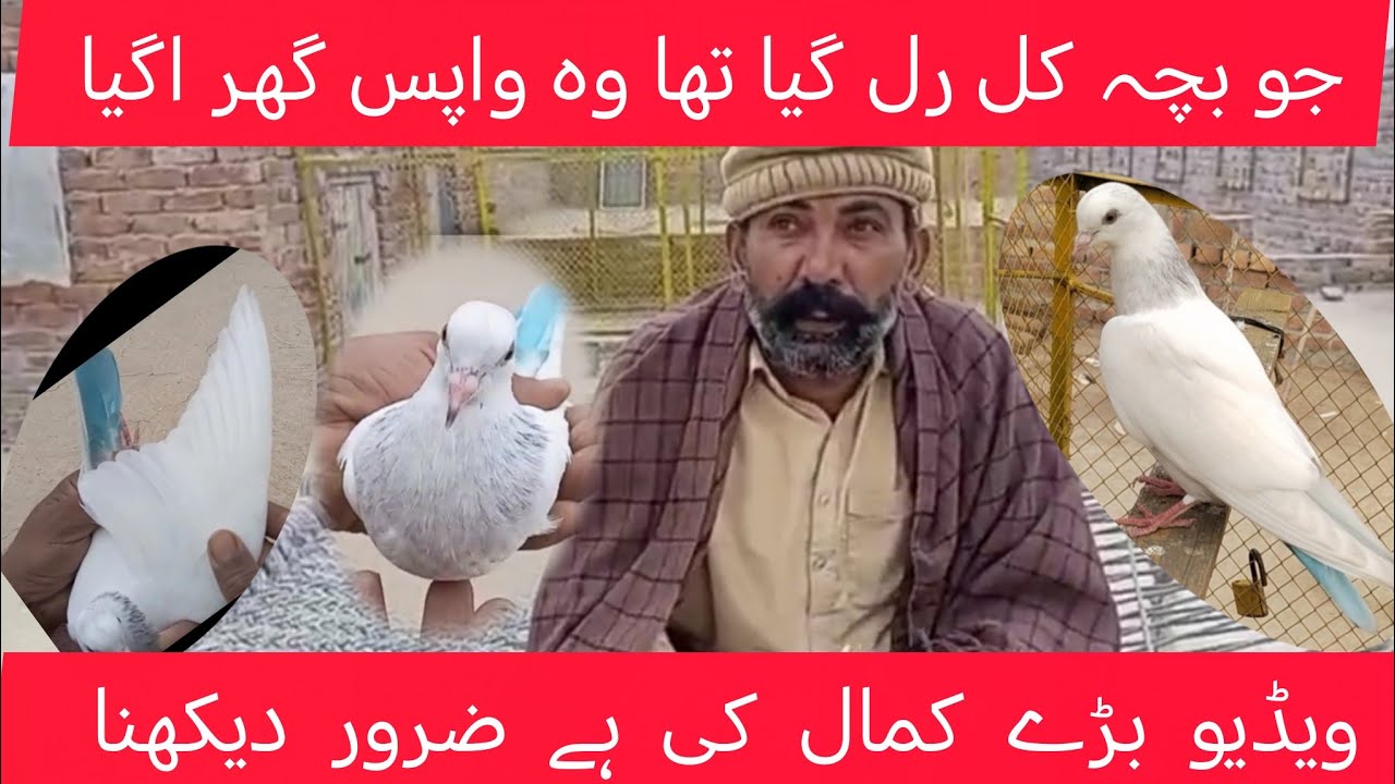 جو بچہ کل رل گیا تھا وہ واپس اگیا ہے ایک دن کے بعد 